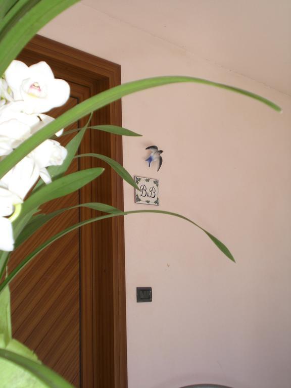 كيافينا B&B Cav Rondinella المظهر الخارجي الصورة